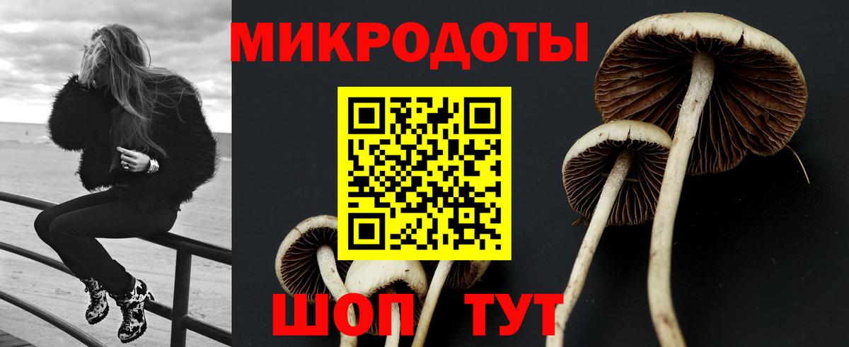 Галлюциногенные грибы мухоморы  Вход с VPN  Заречный 