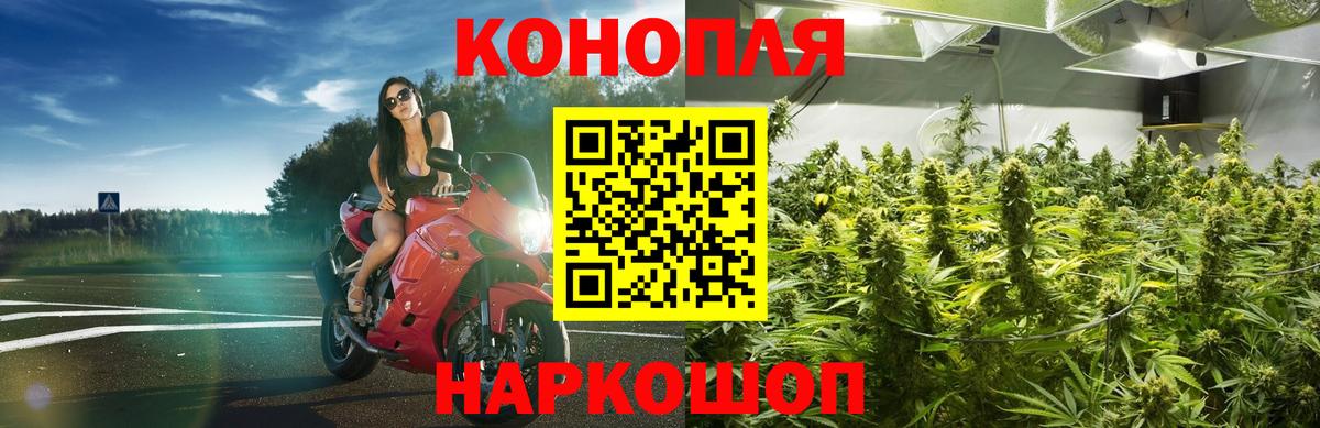 Конопля Bruce Banner Заречный